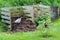 Hens working in the garden compost