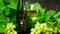 Henschke Australian Barossa Julius 2018 Eden Valley Reisling premium wine.