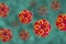 Hepatitis E viruses