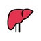 Hepatology vector color line icon
