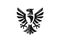 Heraldic eagle symbol or falcon bird isolated emblem