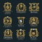 Heraldic royal animals vector isolated icons