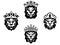 Heraldry lions with crowns