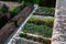 Herb beds in rows above a limestone stone back, a brick walled courtyard with a gravel path in the park. monastic healing garden w