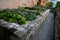 Herb beds in rows above a limestone stone back, a brick walled courtyard with a gravel path in the park. monastic healing garden w