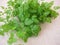 A herb bouquet with fresh garden chervil