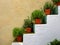 Herb flowerpots on stairs alongside house wall mediterranean style