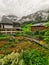 Herb garden in empty lot Elm Switzerland