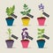 Herb garden with pots of herbs set 4