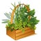 Herb Garden in Wooden Basket