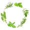 Herb Leaf Garland