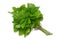 Herb Series Lemon Balm