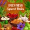 Herb and spice, food seasonings, condiments
