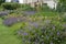 Herbaceous border with Geranium Rozanne and other blue flowers