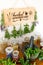 Herbal Apothecary with herb dryer, herbs, jars and mortar and ptestle