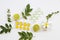 Herbal cough sore throat pastille extract vegetable lemon for health care arrangement flat lay style