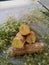 Herbal dried stems and neem flowers