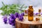 Herbal essential oil bottles and fresh lavender flowers