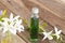 Herbal essential oils aromatherapy with flowers cock tree local flora of asia of lifestyle relaxation