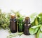 Herbal essential oils bottles