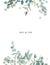 Herbal eucalyptus selection vector frame. Hand painted branches, leaves on white background