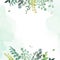 Herbal eucalyptus selection vector frame. Hand painted branches, leaves on white background