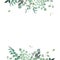 Herbal eucalyptus selection vector frame. Hand painted branches, leaves on white background