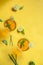 Herbal green tea with lemongrass in glass cup with fresh limes. Top view of two cups of Lemon Grass Drink on a Yellow Background