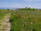 Herbal landscape in Crimea, May