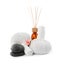 Herbal massage bags, spa stones and air reed freshener on white background