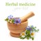 Herbal medicine - camomile, cornflowers