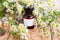 Herbal medicine concept - bottle with camomile on wooden table