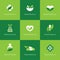 Herbal medicine icons on green background