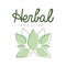 Herbal medicine logo symbol vector Illustration