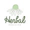 Herbal medicine logo symbol vector Illustration