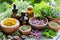 Herbal medicine preparations and remedies