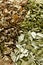 Herbal medicine, wild herbal tea