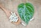 Herbal Medicines / Natural herb capsules on wooden spoon and green leaf on sack background