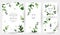 Herbal minimalist vector frames. Hand painted branches, leaves on white background