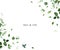 Herbal minimalist vector greenery wedding design frame