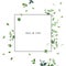 Herbal minimalistic square vector frame