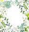 Herbal mix square vector frame. Hand painted plants, branches, leaves, succulents and flowers on white background.