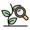 Herbal plant under magnifier icon color outline vector