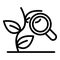 Herbal plant under magnifier icon, outline style