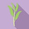Herbal sage icon flat vector. Herb plant