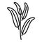 Herbal sage icon outline vector. Herb plant