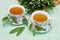 Herbal sage tea  served in teacups with fresh leavea of herb