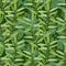 Herbal seamless pattern