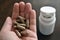 Herbal supplement capsule in hand.  Lingzhi or Reishi mushroom capsules