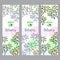 Herbal tea collection. Bilberry banner set